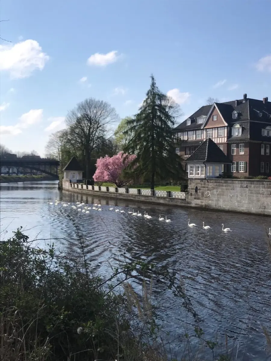 Marvin de Vries, Makler für Mietwohnungen in Hamburg